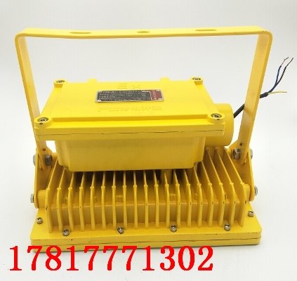 ZBD109ZBD109LED防爆灯低压AC/DC12-24VLED防