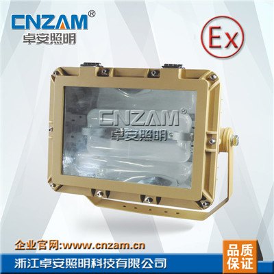 ZBW508免维护节能 ZBW508免维护节能防爆泛光灯