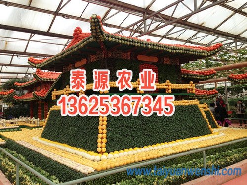 山东生态观光温室建设