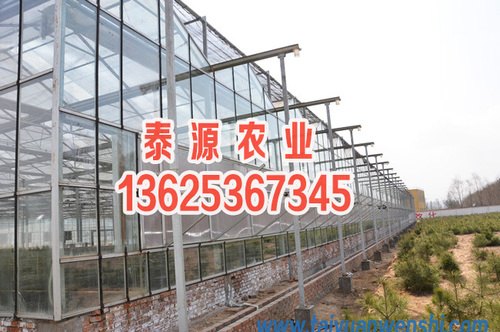 潍坊智能玻璃温室建设