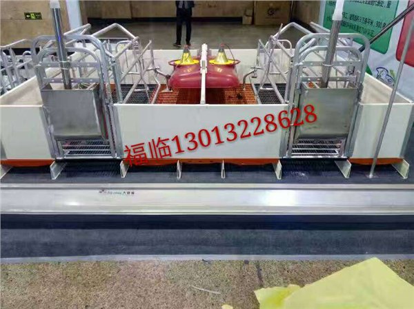 厂家直销批发自动化设备下料系统全自动化养猪设备
