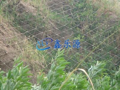 镀锌护栏网特点及用途