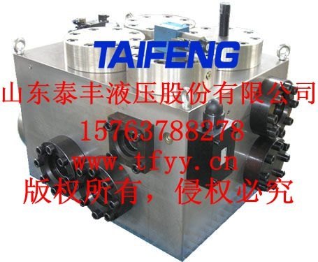 泰丰液压二通插装阀YN32-315HGBCV不带顶缸