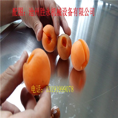 晚红杏去核机价格 图片 厂家