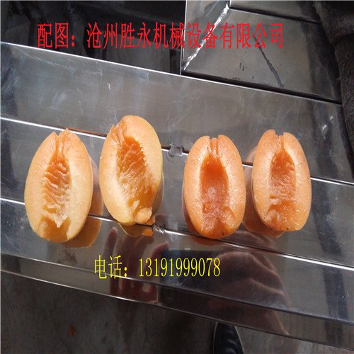 骆驼黄杏子去核机