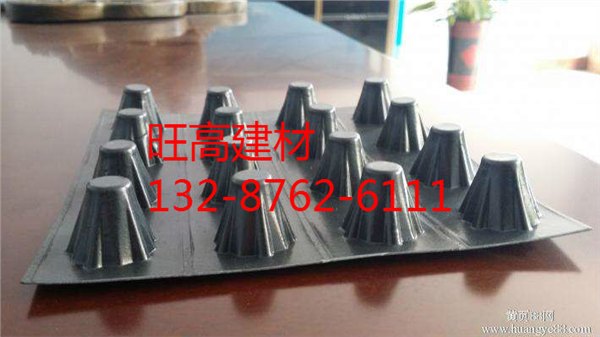山东淄博//优质2公分排水板供应、安全放心
