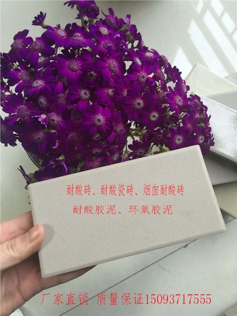 烟囱耐酸砖--中冠耐酸瓷砖崭露头角-前景有待市场检验