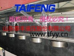 泰丰股份,折弯机油缸原理图,液压折弯机油缸