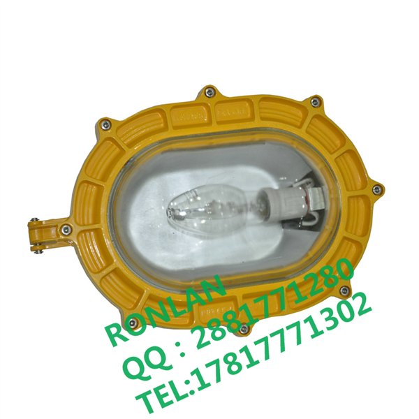 BFE8120船舶联合站防爆灯70100150W
