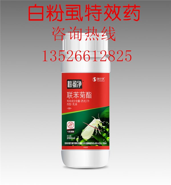 防治蔬菜高抗白粉虱粉虱净特效药浙江蔬菜基地高抗白粉虱专打