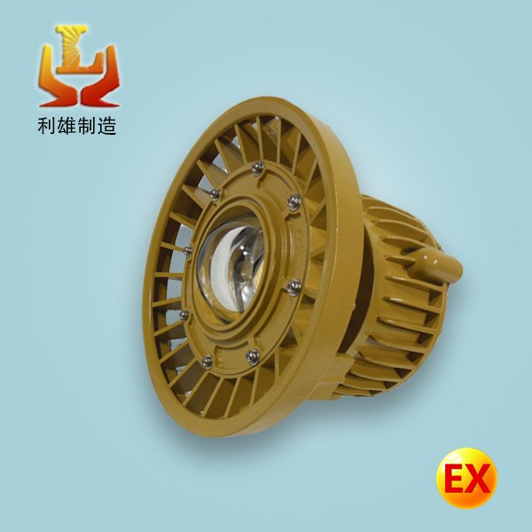 LED防爆投光灯20W30W40W化工厂防爆平台灯
