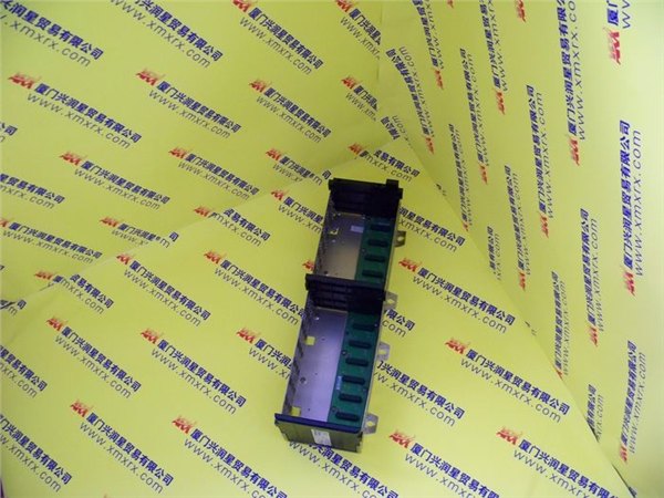 IC600BF819配件