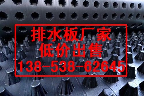 白山地下室08公分滤水板蓄水排水板【尺寸】