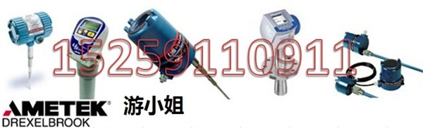 原装正品AMETEK 509-15-925物位计