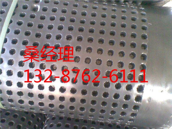 山东临沂//楼顶绿化排水板供应