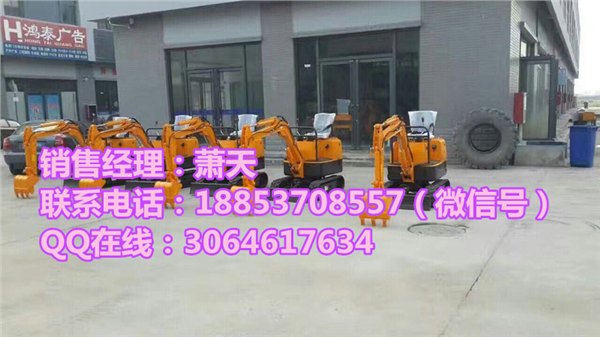 农用微型挖掘机?挖的深的小型挖坑机弗斯特专业生产