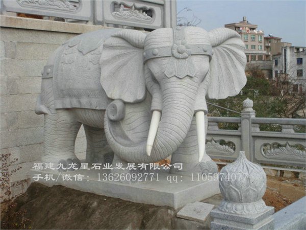 石雕大象厂家 景观石材大象 福建招财石象