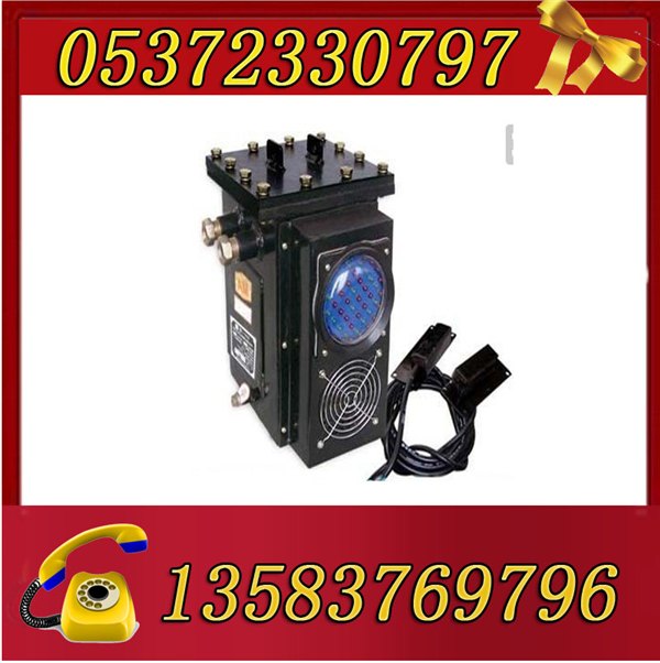 DQJ-50多气体采样器