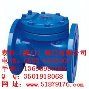 泰科橡胶瓣止回阀 实业出品行业典范