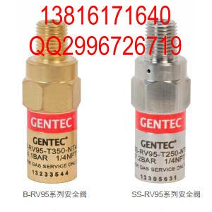 B-RV95-T350-NT6不锈钢安全阀