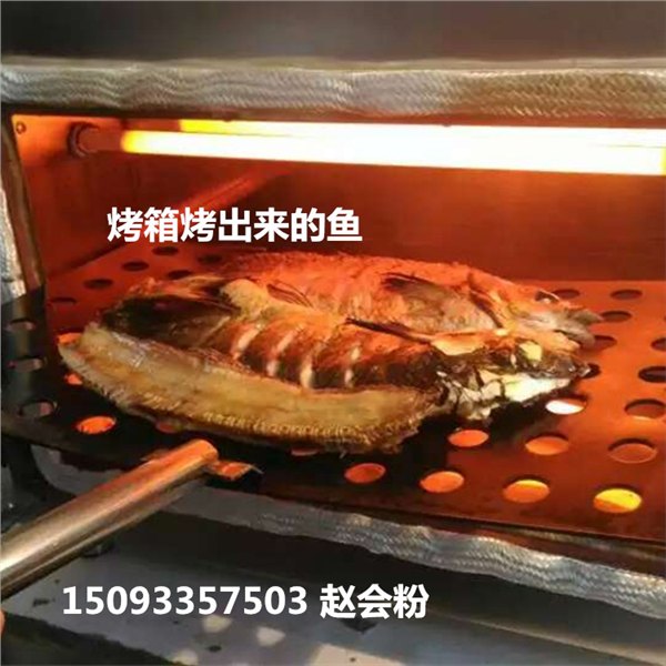 恒晟牌智能烤鱼炉  单层烤1条鱼的烤箱多少钱