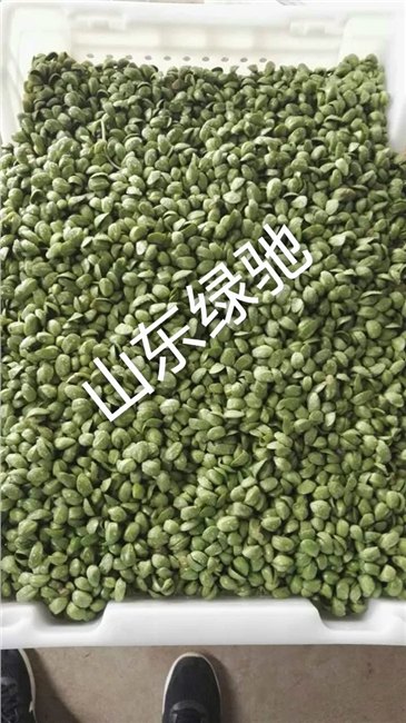 想你所想，山东绿驰与您共同奋斗