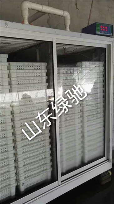 山东绿驰同您一起跳过绊脚石