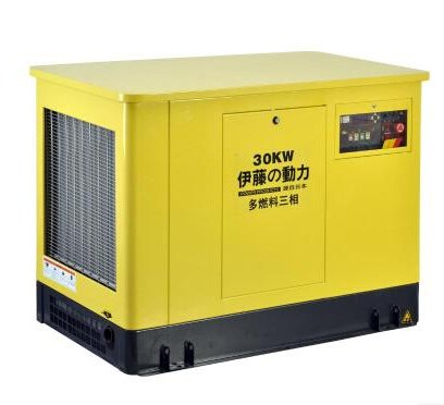30kw双燃料发电机