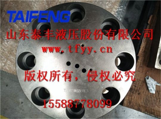 厂家现货供应泰丰TLFA25A型控制盖板价格实惠