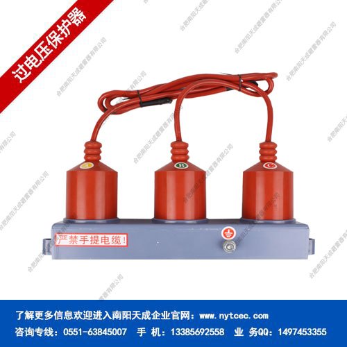 DTBP-II-C-7.6三相过电压保护器 选南阳天成更专业 更放心