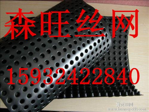 塑料排水板 --安平县森旺土工材料