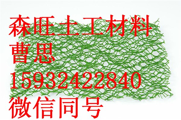 三维土工网 三维植被网--安平县森旺土工材料