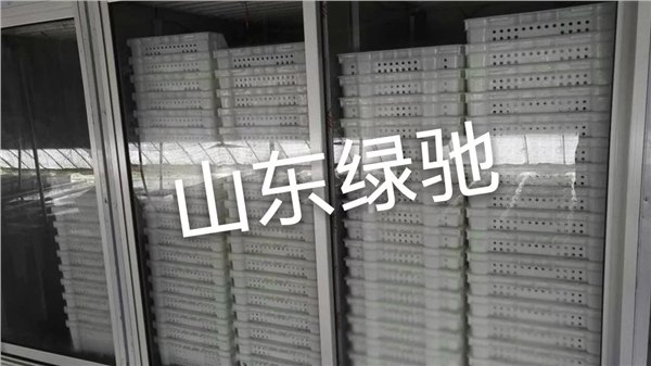 山东绿驰一路相伴