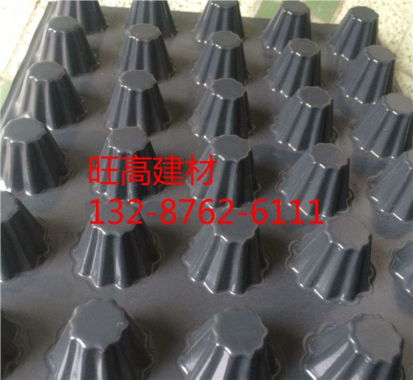 湖北黄石6公分排水板厂家型号齐全