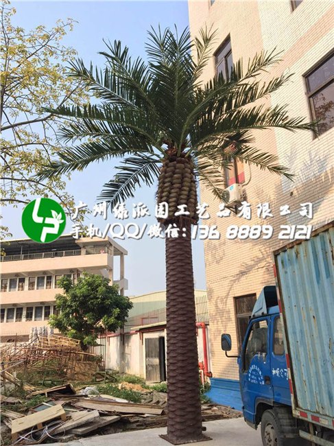 仿真植物假海藻树人造海藻树 加纳利海枣园林景观装饰大型仿真海藻树