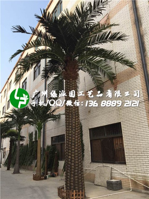 室外仿真海藻树 大型景观树仿真海枣树 商场酒店装饰人造热带风景海藻树