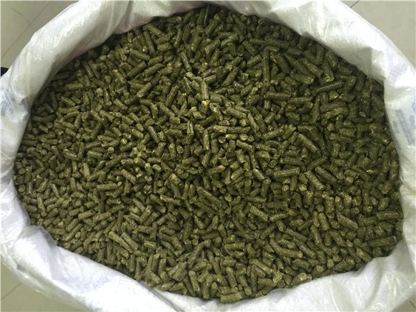 全价料喂羊的好处 