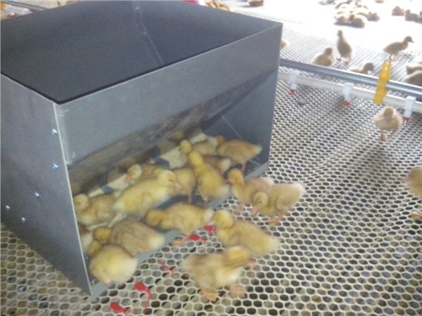 价格实惠嘉汇厂家供应加厚饲料喂食料箱