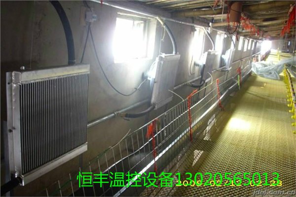 供应鸡舍升温锅炉精美别致