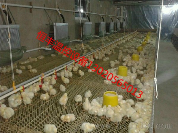 供应铜仁养鸡供暖锅炉薄利多销
