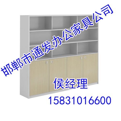 邯郸书柜,邯郸书柜厂家,邯郸通发书柜