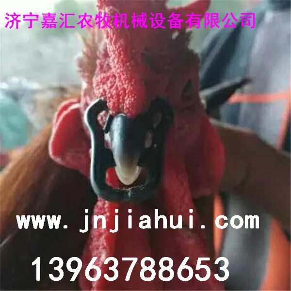 嘉汇机械性价比高质量好鸡用全新防啄卡环