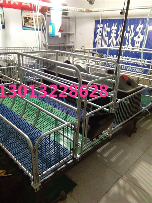猪场自动化供料设备自动化喂料系统自动料线厂家养猪设备