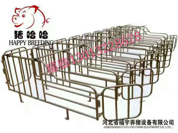 供应养猪自动化设备厂家批发直销