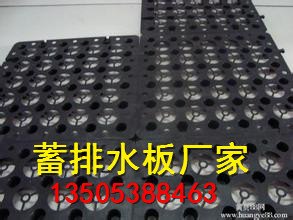 建筑用块状蓄排水板 批发