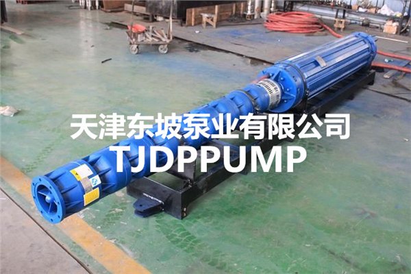 高扬程深井潜水泵-不锈钢潜水泵-天津潜水泵厂家
