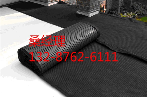湖南郴州+车库绿化排水板厂家型号齐全