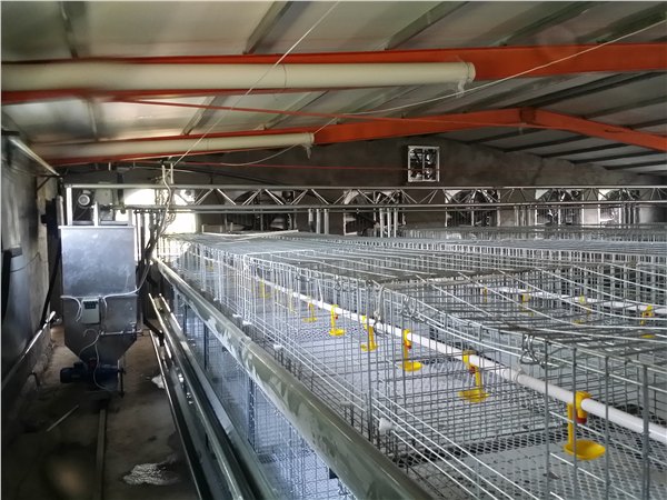 嘉汇机械供应销售上料专用系统养殖禽舍上料机