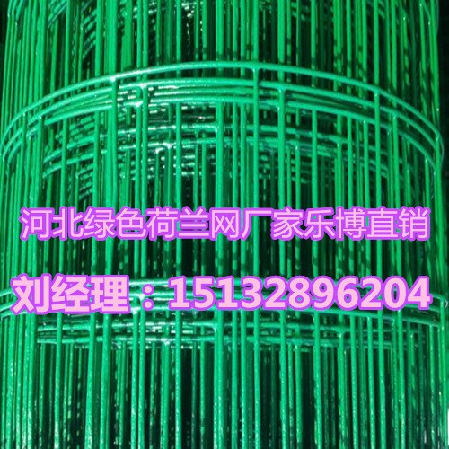 南宁绿色铁丝网广西养殖荷兰网1.8x30m厂家生产