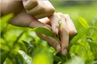 湖北省宁点视觉武汉宁点互动文化传播有限公司，一站式服务，解